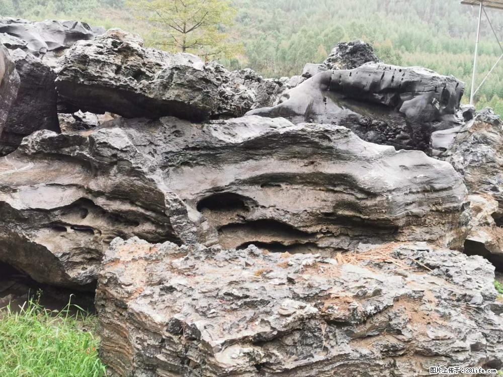 风景石、假山石大量有货，有需要的欢迎联系 - 新手上路 - 庆阳生活社区 - 庆阳28生活网 qingyang.28life.net
