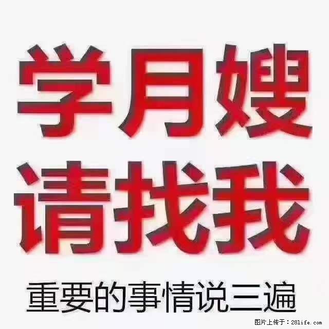 为什么要学习月嫂，育婴师？ - 新手上路 - 庆阳生活社区 - 庆阳28生活网 qingyang.28life.net