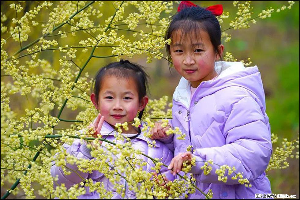 【春天，广西桂林灌阳县向您发出邀请！】米珠山前有片山苍子花在飘香 - 游山玩水 - 庆阳生活社区 - 庆阳28生活网 qingyang.28life.net