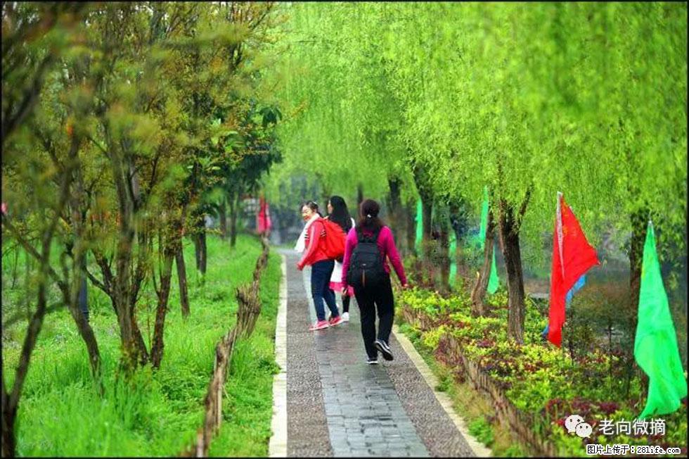 【春天，广西桂林灌阳县向您发出邀请！】江口老街又逢春 - 游山玩水 - 庆阳生活社区 - 庆阳28生活网 qingyang.28life.net