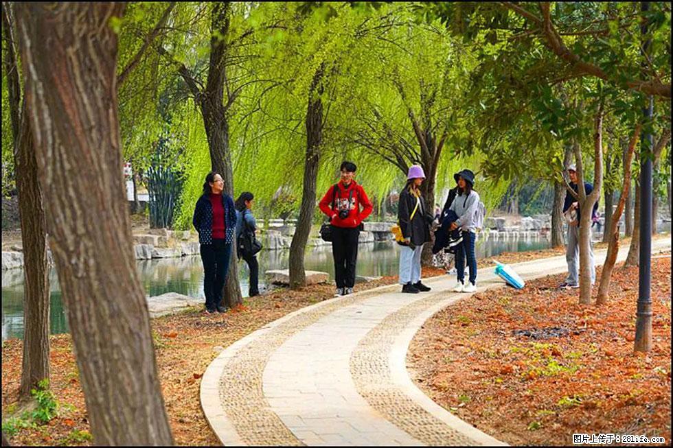 【春天，广西桂林灌阳县向您发出邀请！】江口老街又逢春 - 游山玩水 - 庆阳生活社区 - 庆阳28生活网 qingyang.28life.net