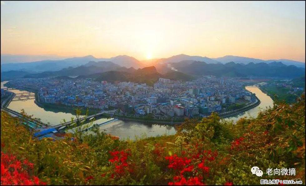 【春天，广西桂林灌阳县向您发出邀请！】登麒麟山，相约映山红 - 游山玩水 - 庆阳生活社区 - 庆阳28生活网 qingyang.28life.net