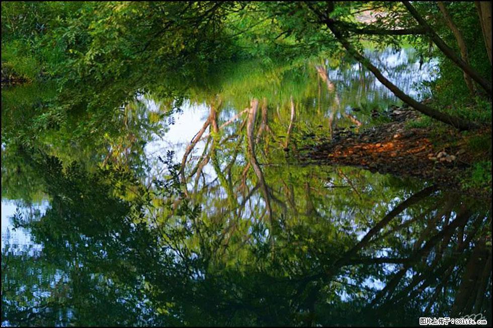【春天,广西桂林灌阳县向您发出邀请!】熊家寨湿地公园 - 游山玩水 - 庆阳生活社区 - 庆阳28生活网 qingyang.28life.net