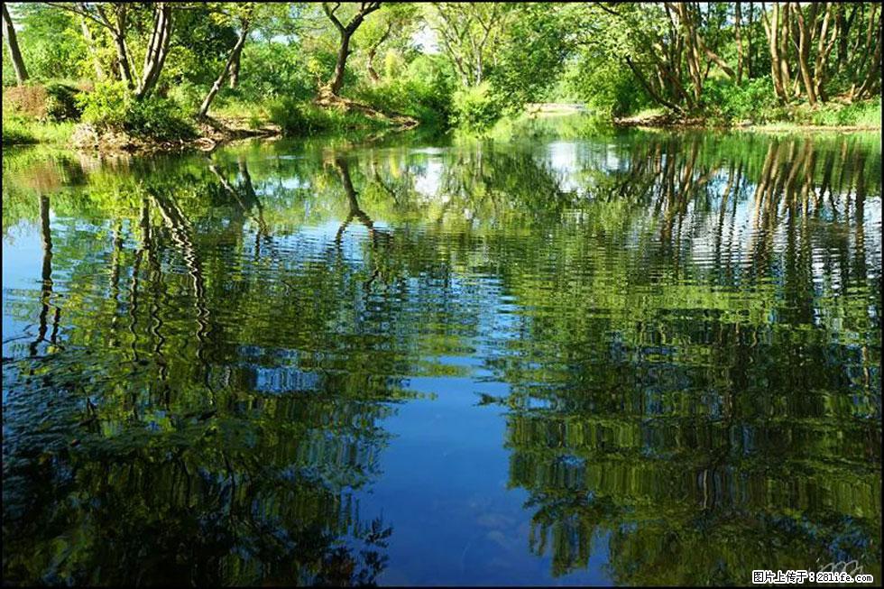 【春天,广西桂林灌阳县向您发出邀请!】熊家寨湿地公园 - 游山玩水 - 庆阳生活社区 - 庆阳28生活网 qingyang.28life.net