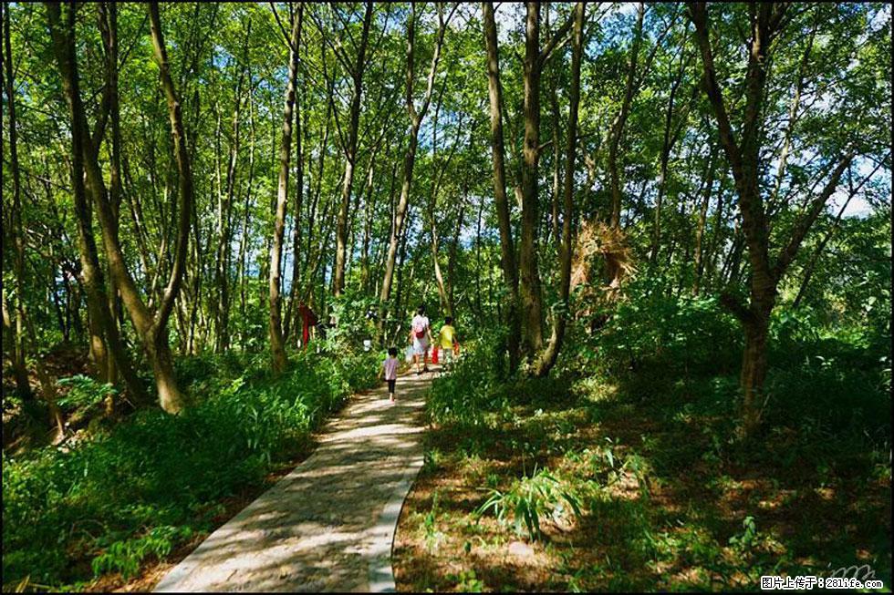【春天,广西桂林灌阳县向您发出邀请!】熊家寨湿地公园 - 游山玩水 - 庆阳生活社区 - 庆阳28生活网 qingyang.28life.net