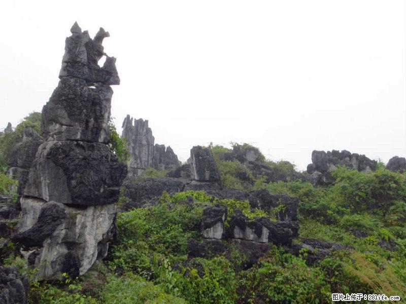 桂林旅游名城景点:灌阳文市石林 - 游山玩水 - 庆阳生活社区 - 庆阳28生活网 qingyang.28life.net