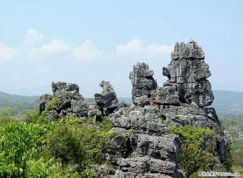 桂林旅游名城景点:灌阳文市石林 - 游山玩水 - 庆阳生活社区 - 庆阳28生活网 qingyang.28life.net