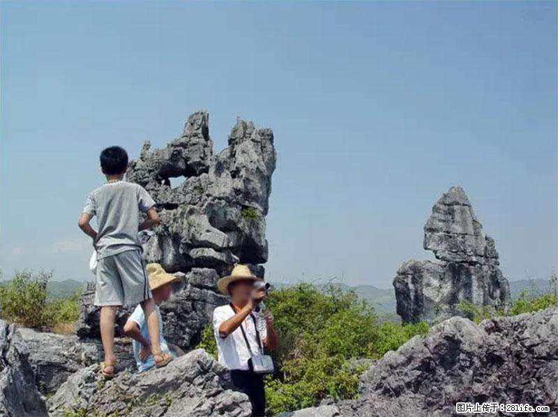 桂林旅游名城景点:灌阳文市石林 - 游山玩水 - 庆阳生活社区 - 庆阳28生活网 qingyang.28life.net