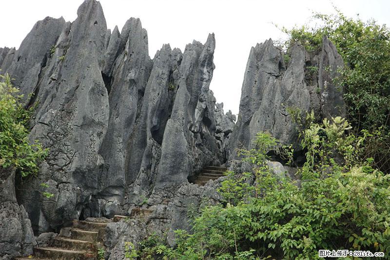 桂林旅游名城景点:灌阳文市石林 - 游山玩水 - 庆阳生活社区 - 庆阳28生活网 qingyang.28life.net