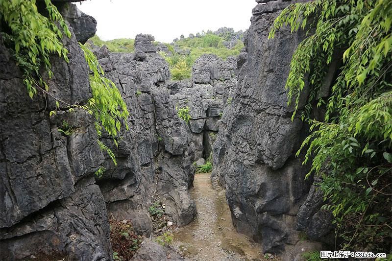 桂林旅游名城景点:灌阳文市石林 - 游山玩水 - 庆阳生活社区 - 庆阳28生活网 qingyang.28life.net