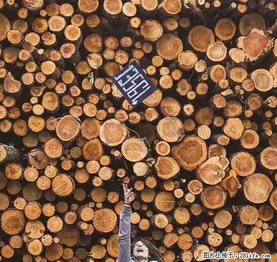 辞掉工作周游世界？现在他们在洗厕所…… - 游山玩水 - 庆阳生活社区 - 庆阳28生活网 qingyang.28life.net