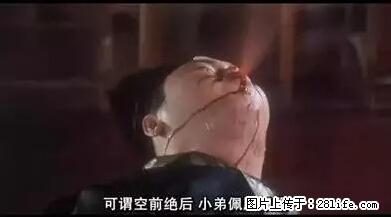 笑癫了！一女的怀孕三年未生，他终于忍不住了... - 娱乐八卦 - 庆阳生活社区 - 庆阳28生活网 qingyang.28life.net
