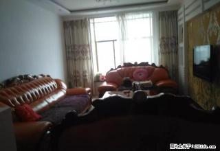 可月付，精装三居室，地理位置优越，出行方便，交通便利 - 庆阳28生活网 qingyang.28life.net