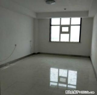 丽晶公寓 商业中心 全明格局 南北通透 交通便利 - 庆阳28生活网 qingyang.28life.net