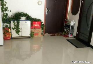 东墅一品精装两居室，交通便利，购物方便，小区绿化好 - 庆阳28生活网 qingyang.28life.net