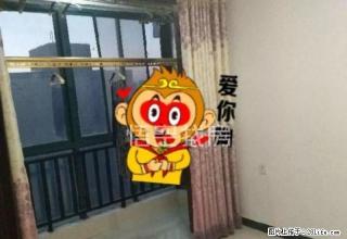 位于城市中心，地理位置优越，邻近建材市场，出路方便 - 庆阳28生活网 qingyang.28life.net