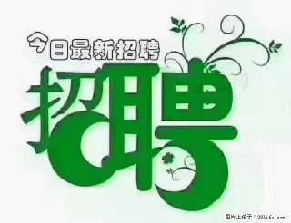 【招聘摄像师】待遇：试用期6000元/月，转正7000元/月+五险一金+餐补+节日福利+奖金 - 庆阳28生活网 qingyang.28life.net