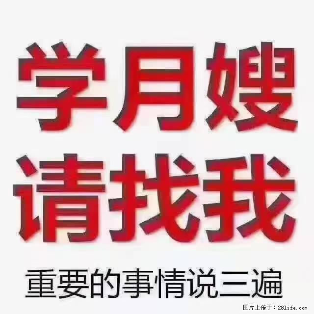 【招聘】月嫂，上海徐汇区 - 职场交流 - 庆阳生活社区 - 庆阳28生活网 qingyang.28life.net