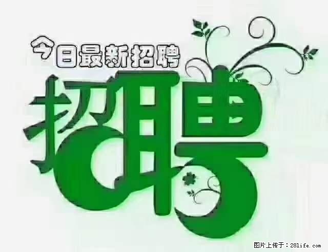 上海隔离酒店招人：55岁以下 男女不限 - 职场交流 - 庆阳生活社区 - 庆阳28生活网 qingyang.28life.net