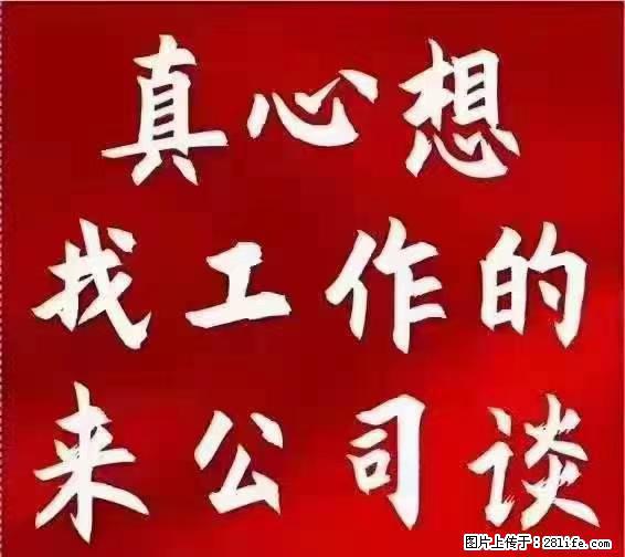 【上海】国企，医院招两名男保安，55岁以下，身高1.7米以上，无犯罪记录不良嗜好 - 职场交流 - 庆阳生活社区 - 庆阳28生活网 qingyang.28life.net