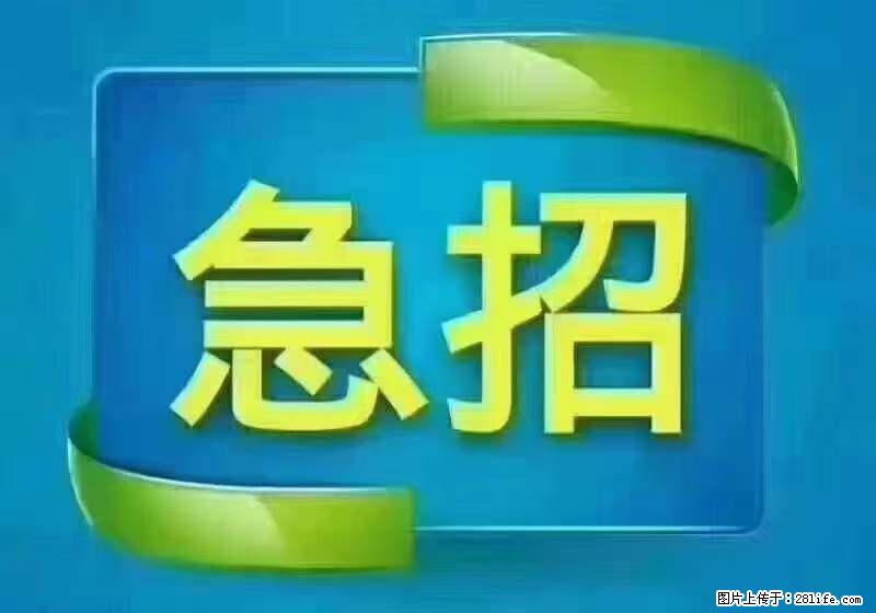 招出纳8000元/月，无证可以，要有相关经验，上海五险一金，包住，包工作餐，做六休一。 - 职场交流 - 庆阳生活社区 - 庆阳28生活网 qingyang.28life.net