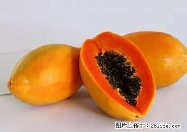 晕车、脚气、牙齿变黄、皮肤粗糙？学会这些三分钟搞定！ - 庆阳生活资讯 - 庆阳28生活网 qingyang.28life.net