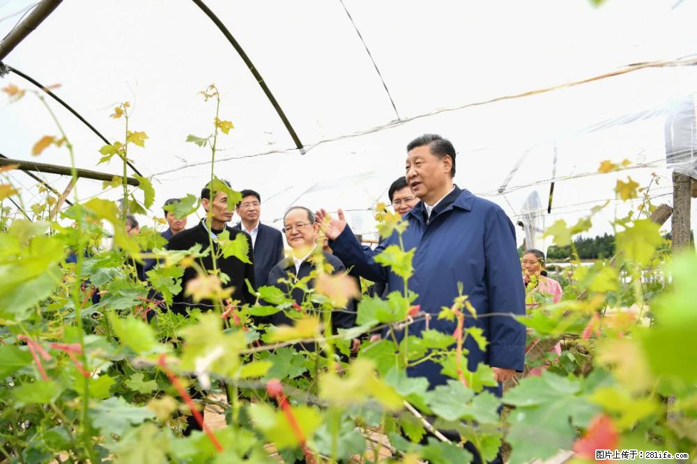 习近平赴广西考察调研 - 庆阳生活资讯 - 庆阳28生活网 qingyang.28life.net