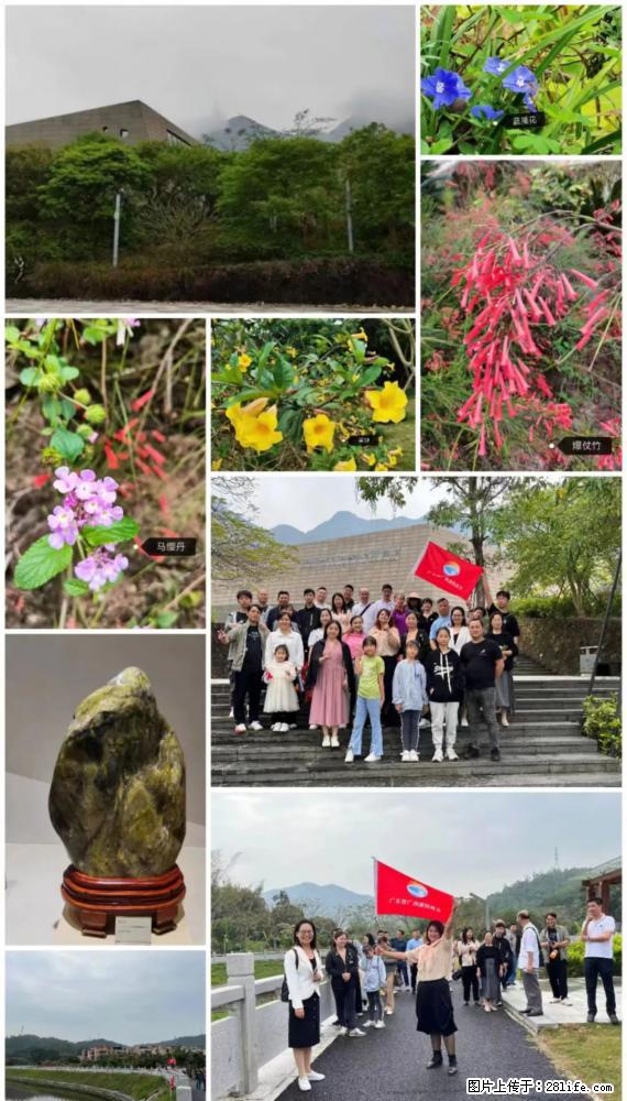 “粤灌文化 美好生活”油茶文化主题活动在广东深圳成功举办 - 庆阳生活资讯 - 庆阳28生活网 qingyang.28life.net