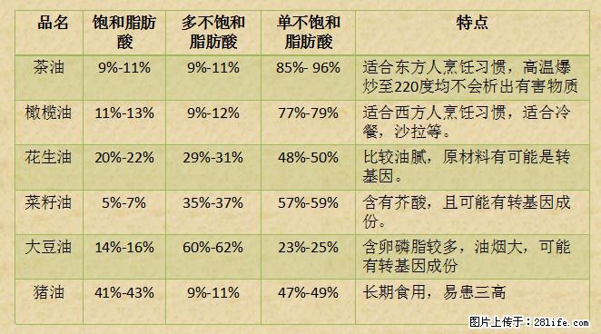 揭秘茶油的5大核心营养成分!被称为人体健康的“守护盾”! - 庆阳生活资讯 - 庆阳28生活网 qingyang.28life.net