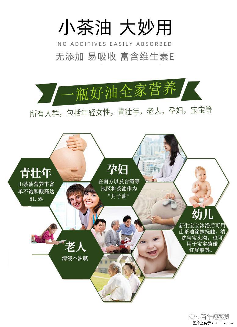 世界没有真相，只有认知，最好的食用油是中国的山茶油！ - 庆阳生活资讯 - 庆阳28生活网 qingyang.28life.net