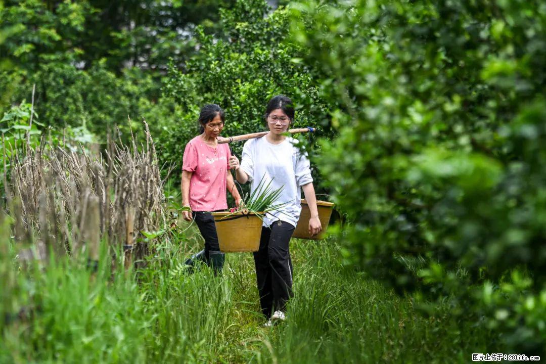 全网追的“扁担女孩”，找了一份暑假工，时薪12元 - 庆阳生活资讯 - 庆阳28生活网 qingyang.28life.net