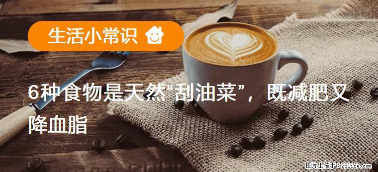 【生活小常识】6种食物是天然“刮油菜”，既减肥又降血脂 - 庆阳生活资讯 - 庆阳28生活网 qingyang.28life.net