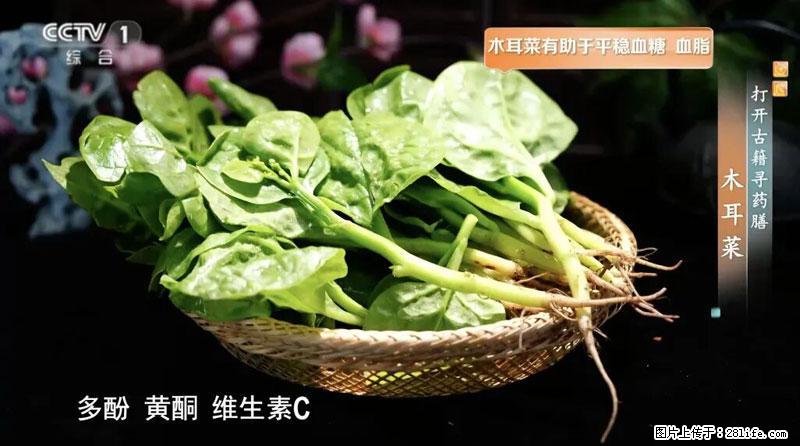比牛奶补钙还厉害！凉血解毒、稳血糖...这菜冬天必吃，很多人却当草 - 庆阳生活资讯 - 庆阳28生活网 qingyang.28life.net