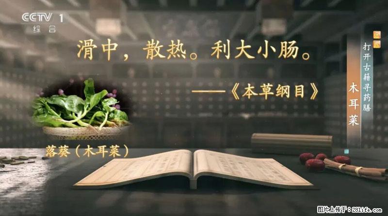 比牛奶补钙还厉害！凉血解毒、稳血糖...这菜冬天必吃，很多人却当草 - 庆阳生活资讯 - 庆阳28生活网 qingyang.28life.net