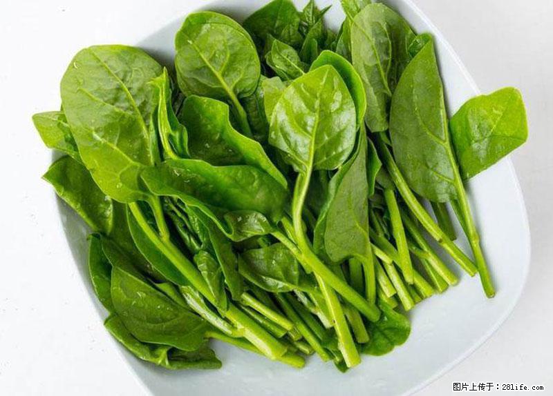 这些蔬菜是“天然钙片”，这6种被医生重点推荐 - 庆阳生活资讯 - 庆阳28生活网 qingyang.28life.net