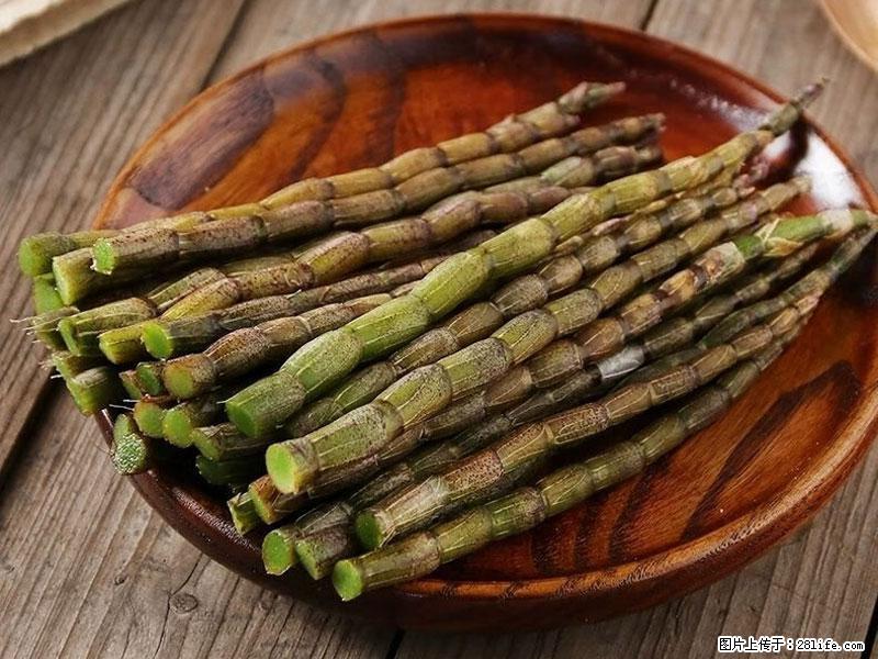 铁皮石斛的作用与功能主治 - 庆阳生活资讯 - 庆阳28生活网 qingyang.28life.net