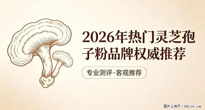 灵芝孢子粉含量越高越有效？2026 年七款热门品牌深度实测，肠胃敏感者避坑指南 - 庆阳生活资讯 - 庆阳28生活网 qingyang.28life.net